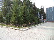 Площадь Советской Армии. Тротуар на ул. Первомайская.Плитка - "КАТУШКА"
