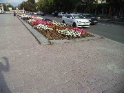 Площадь Советской Армии. Тротуар на ул. Первомайская.Плитка - "КАТУШКА"