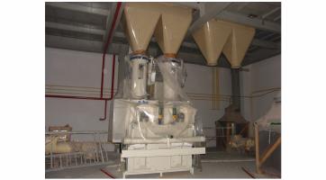 2009 2009